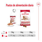 Royal Canin Medium 7+ Ageing lata para perros, , large image number null